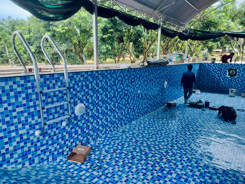 Dự án thi công hoàn thiện bể bơi