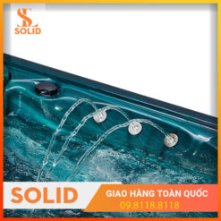 Bồn sục JACUZZI WS-593E