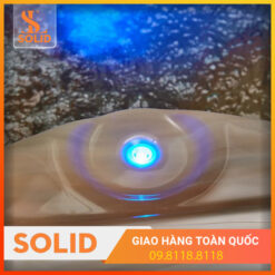Bồn sục JACUZZI WS-694